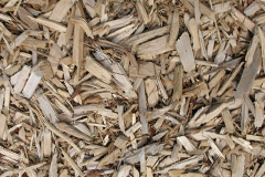 biomass boilers Alva